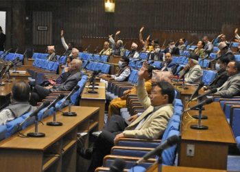 नागरिकता विधेयक हुबहु पारित, १३५ ले पक्षमा र ६० जनाले विपक्षमा मतदान