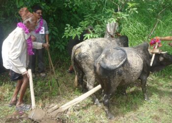 राणा शासन हल्लाउने त्यो ‘हलोक्रान्ति’