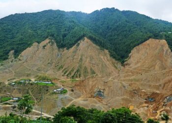 मानवीय क्रुरताले नाङ्गिएको वन र बस्ती (फोटोफिचर)