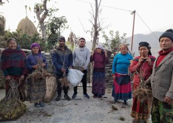 राइनासकाे कुडुँलेलाई किवि पकेट क्षेत्रको रुपमा विस्तार गरिदै