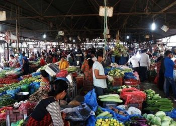 सरकारले तरकारी र खाद्यान्‍नमा विषादी जाँच गर्ने