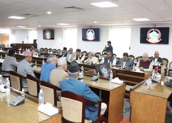 नीति तथा कार्यक्रममा प्रधानमन्त्रीले मागे सत्तारुढ नेताहरुको सुझाव