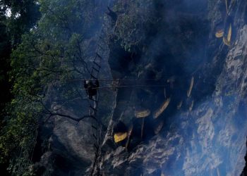 भीरमा मह काढेर फर्कदा दोर्दी खोलाको खोँचमा खसेर युवक बेपत्ता