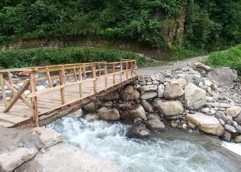 बेसीसहर–१० का स्थानीयले बनाए भाचोक खोलामा काठेपूल !