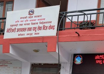 भेटेरिनरी लमजुङको ७४.२५ प्रतिशत वित्तिय प्रगति