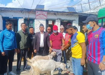 बेसीशहर नगरपालिकाले कैदीबन्दीलाई दशैं मनाउन दियाे २ वटा खसी !