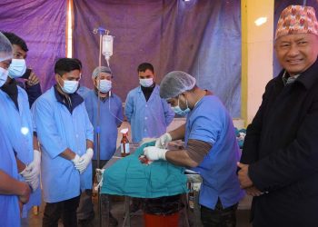 लमजुङमा कुकुर विरालो बन्ध्याकरण अभियान