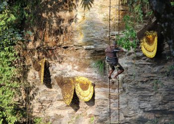 भिरमौरी सिकारीलाई सुरक्षा सामाग्री